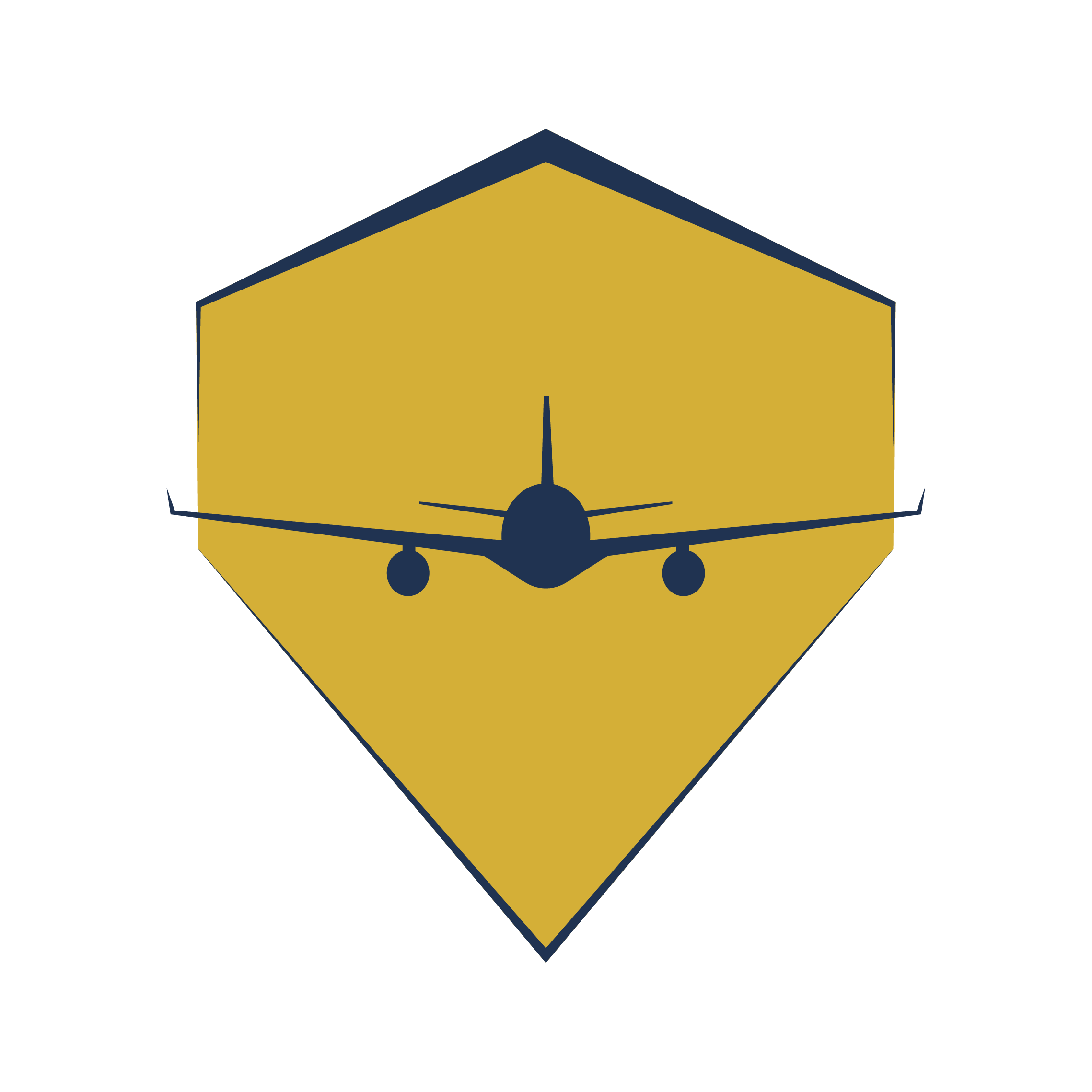 HangarHQ Logo